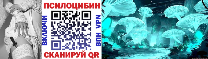 купить закладку  маркетплейс Telegram  кракен ONION  Псилоцибиновые грибы мицелий  Люберцы 